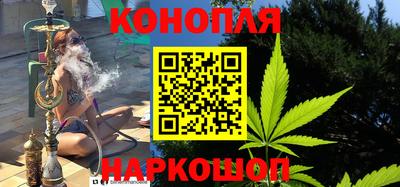 крисы Партизанск