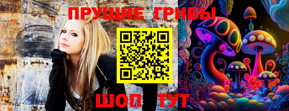 Псилоцибиновые грибы GOLDEN TEACHER  Псилоцибиновые грибы Psilocybine cubensis  Вход с VPN  Семилуки 