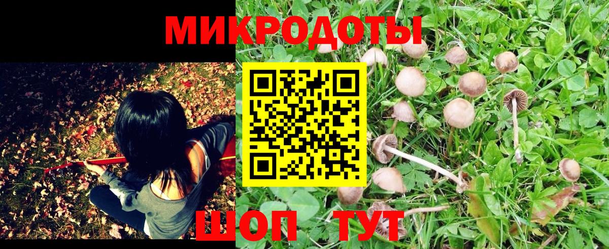 Галлюциногенные грибы MAGIC MUSHROOMS Семилуки